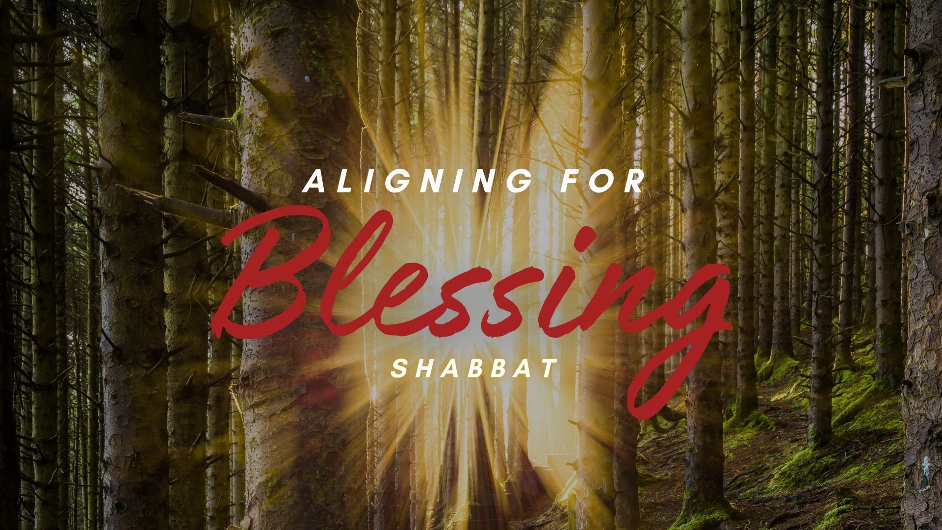 Shabbat: Aligning for Blessing (11/17) 6PM