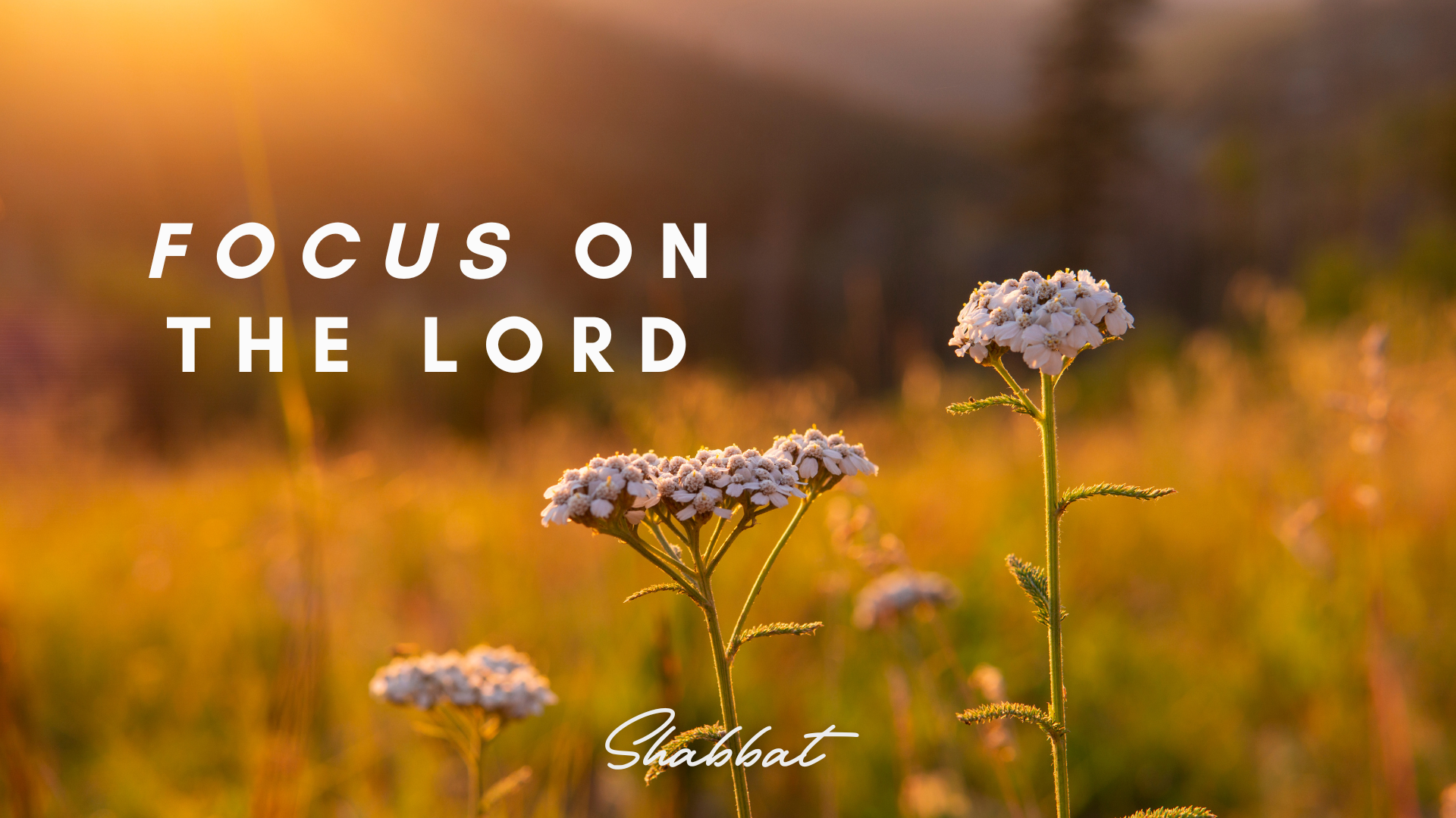 Shabbat: Focus on the Lord (8/01) 6 PM