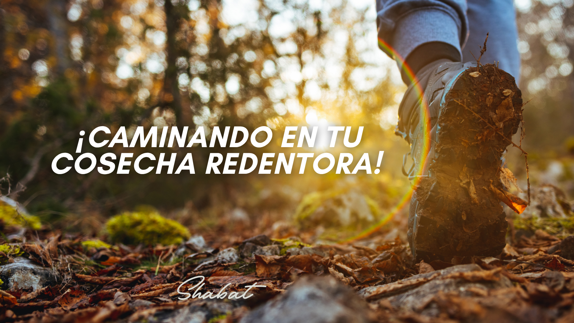 Shabbat: ¡Camina en Tu Cosecha Redentora! (6/05)