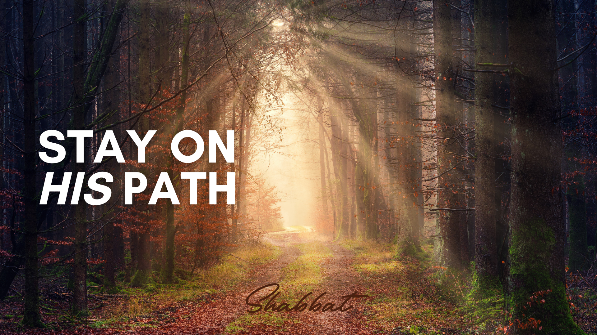 Shabbat: Stay on His Path (5/16) 