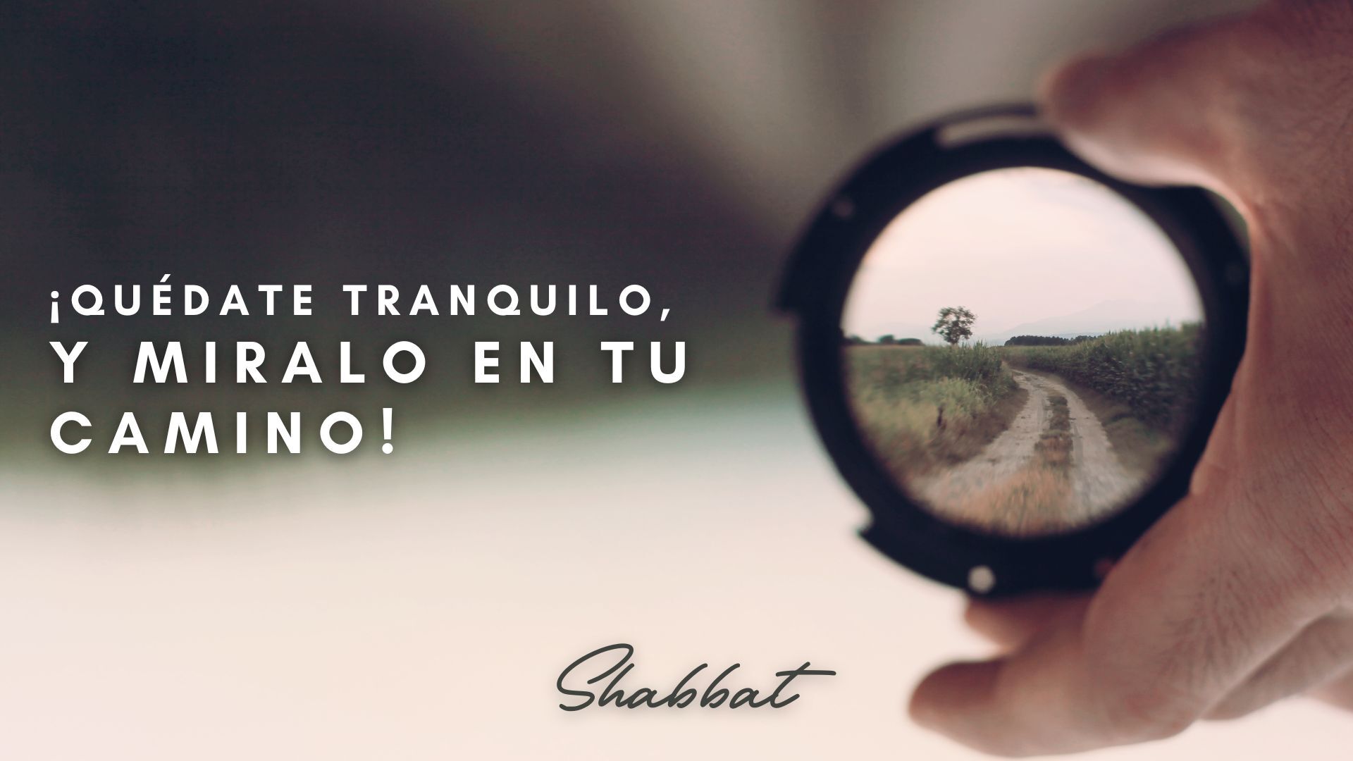 Shabbat: Quédate Tranquilo y Miralo en tu Camino! 