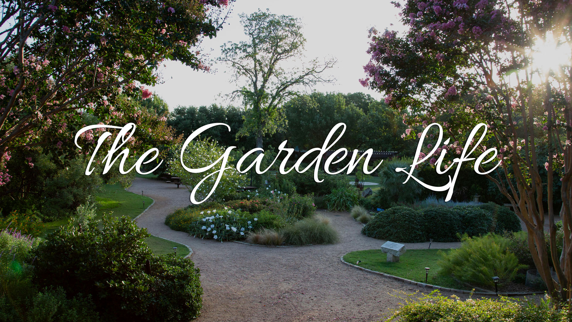 The Garden Life