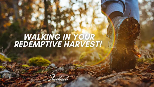 Shabbat: Walking in Your Redemptive H...