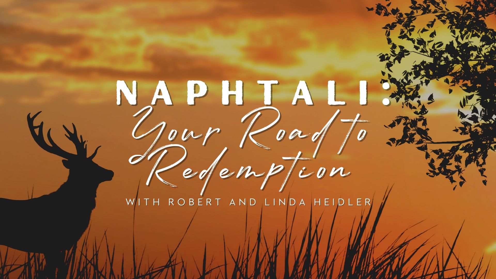 Naphtali: Your Road to Redemption (02/02)