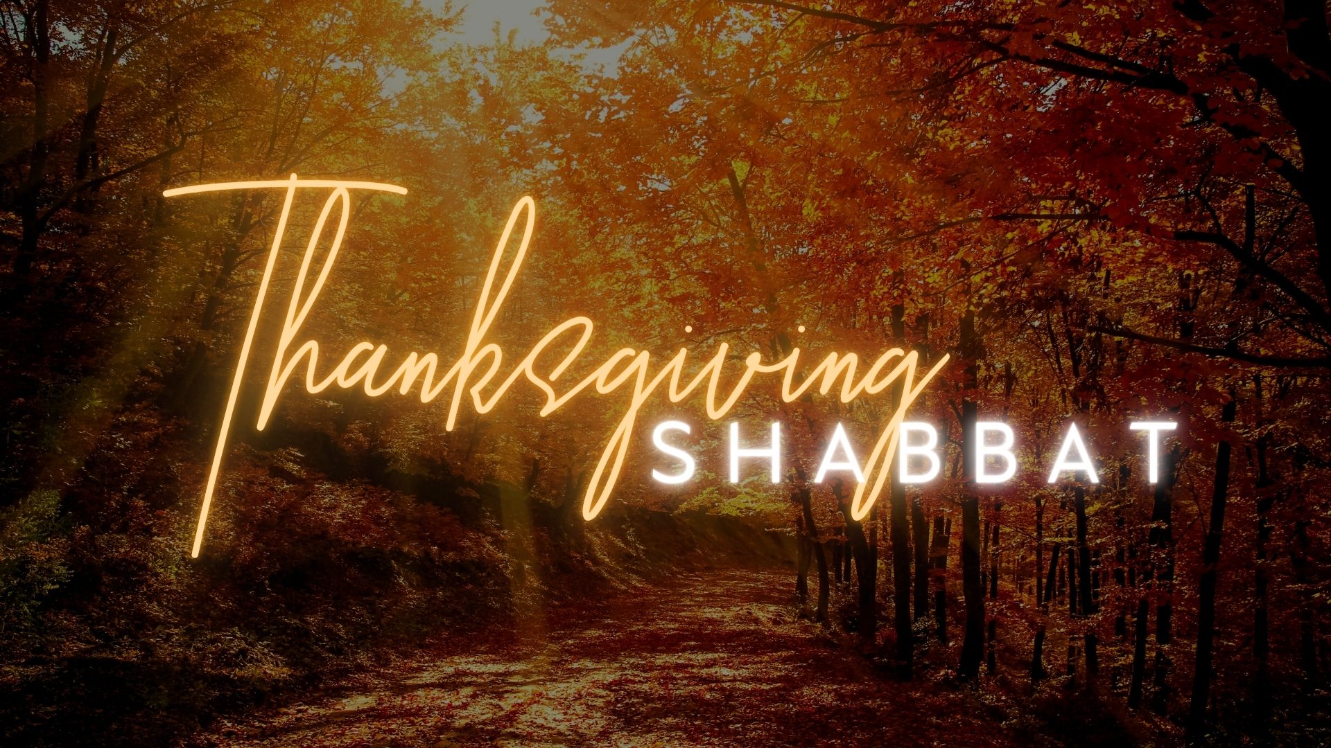 Thanksgiving Shabbat (11/25)