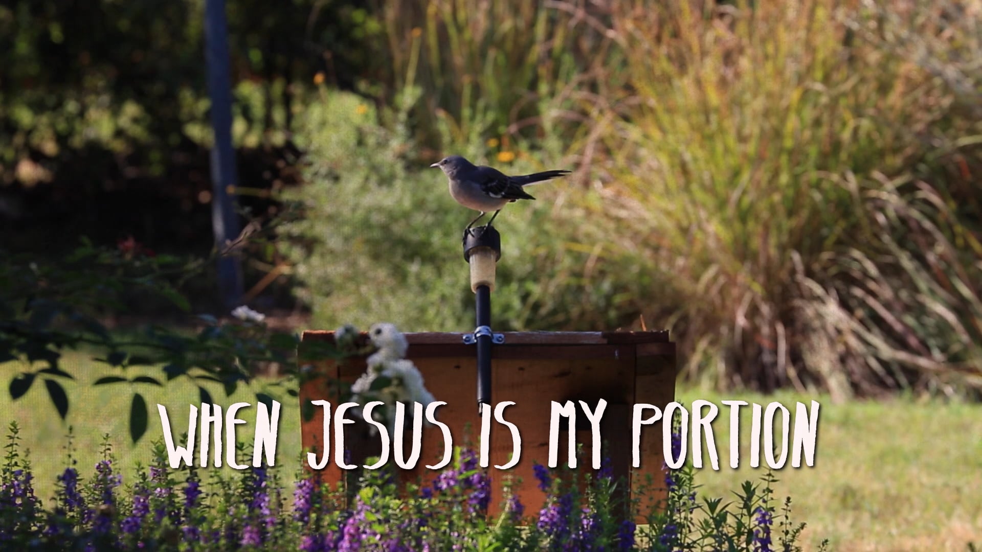 His Eye Is On the Sparrow