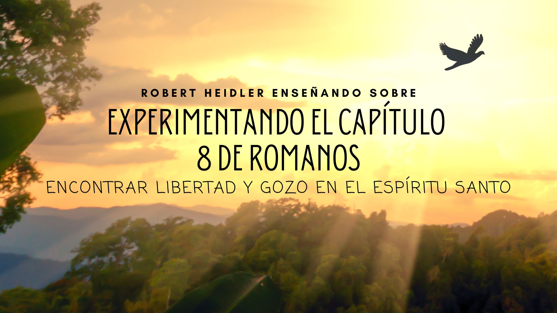 Servicio de Celebración (02/12) - Robert Heidler 