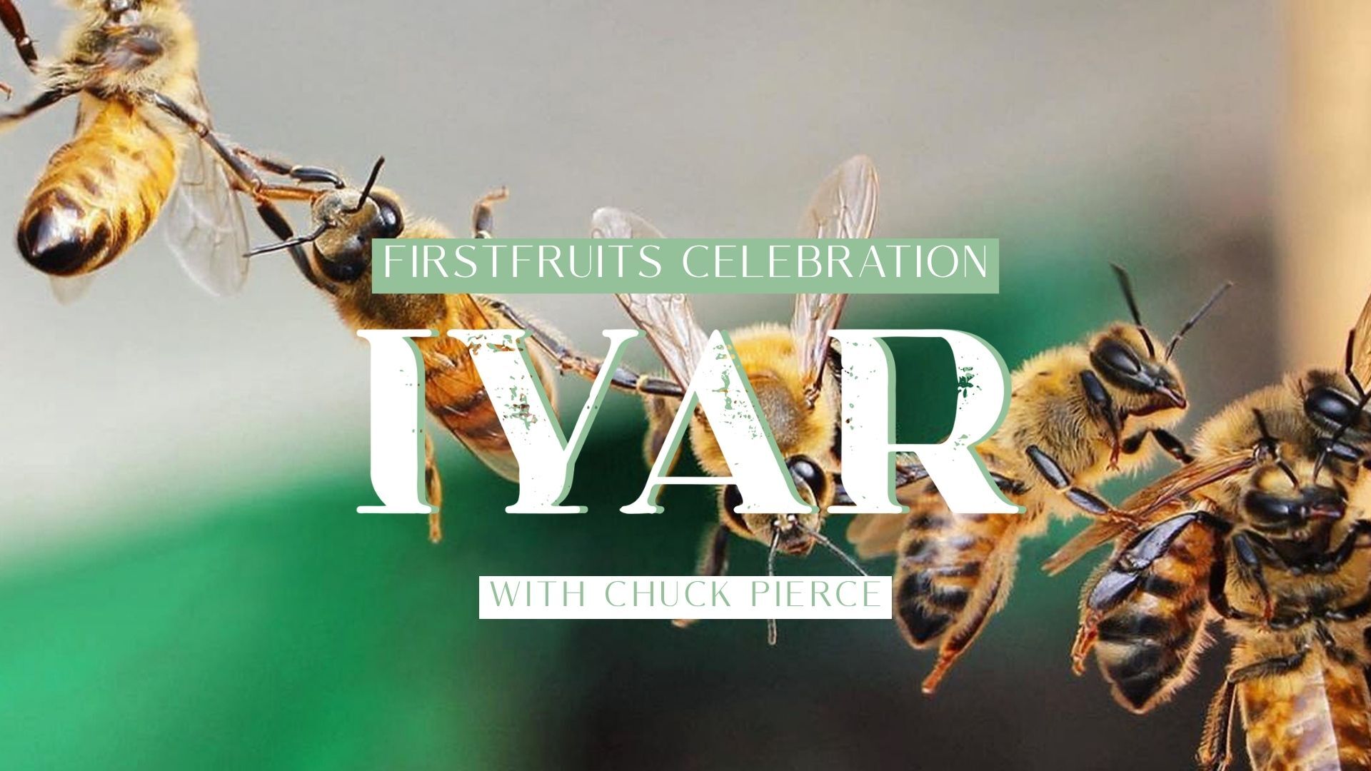 Sunday Celebration Service (04/19/26) 9AM