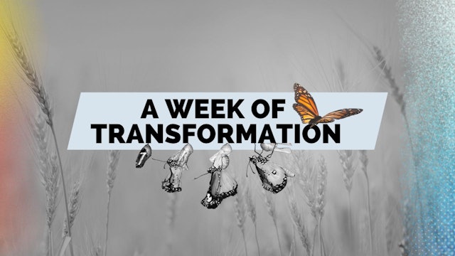 A Week of Transformation