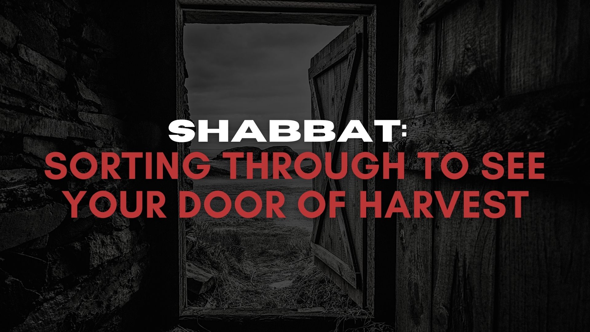 Shabbat: Sorting Through To See Your Door of Harvest (06/25)