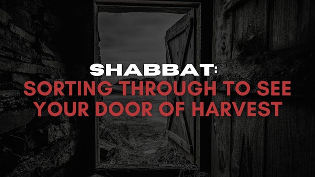 Shabbat: Sorting Through To See Your ...
