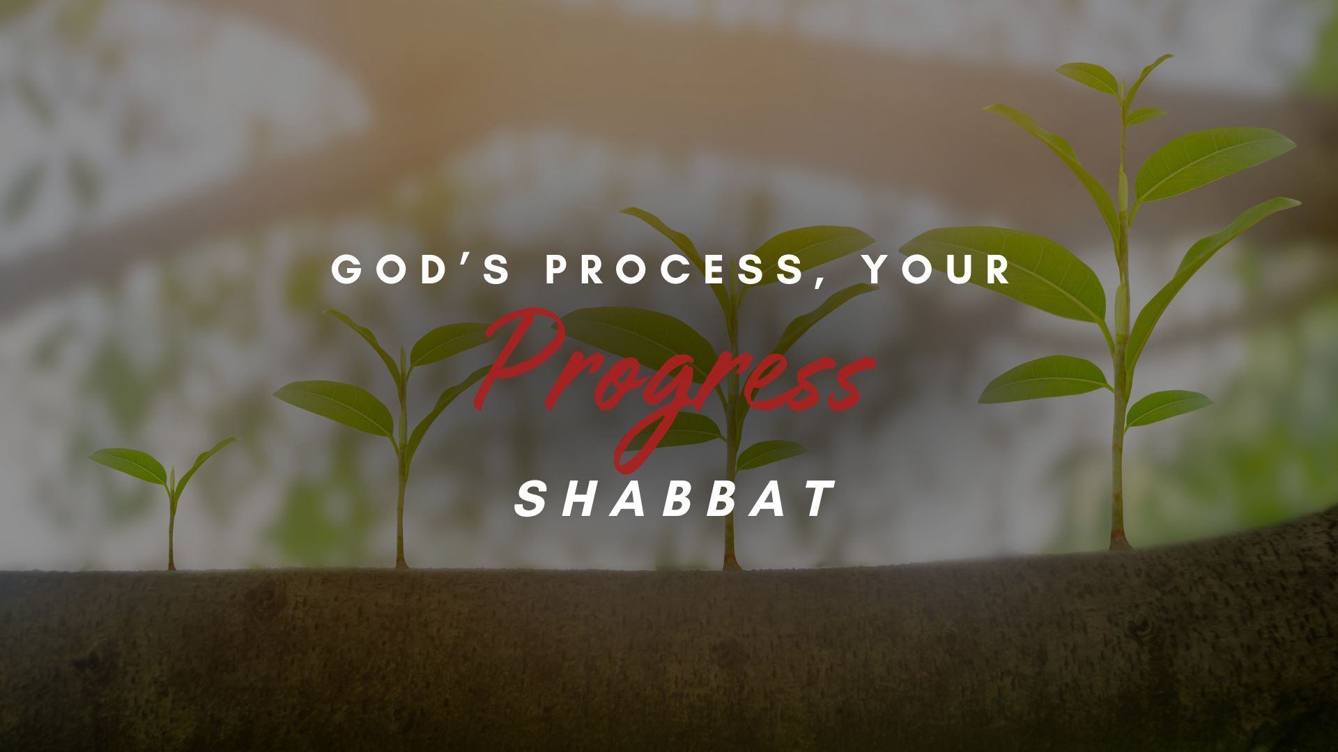 Shabbat: God's Process, Your Progress (9/13)