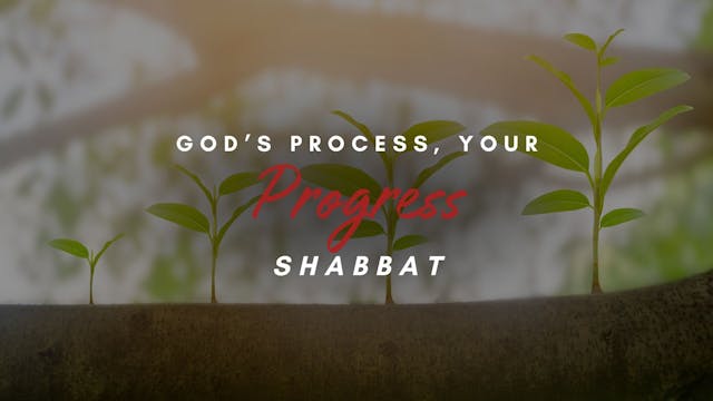 Shabbat: God's Process, Your Progress...