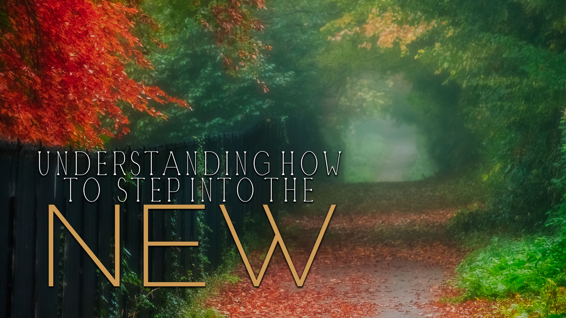 Understanding How to Step into the New (4/29) - Chuck Pierce