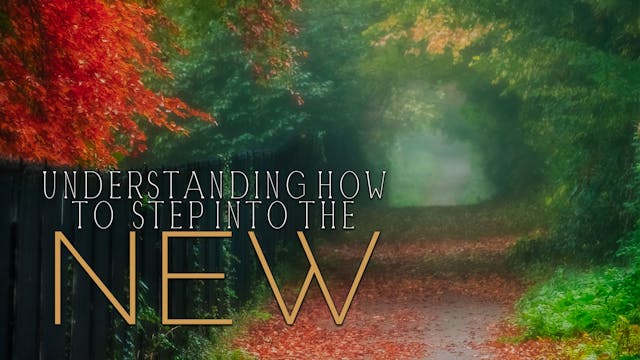 Understanding How to Step into the Ne...