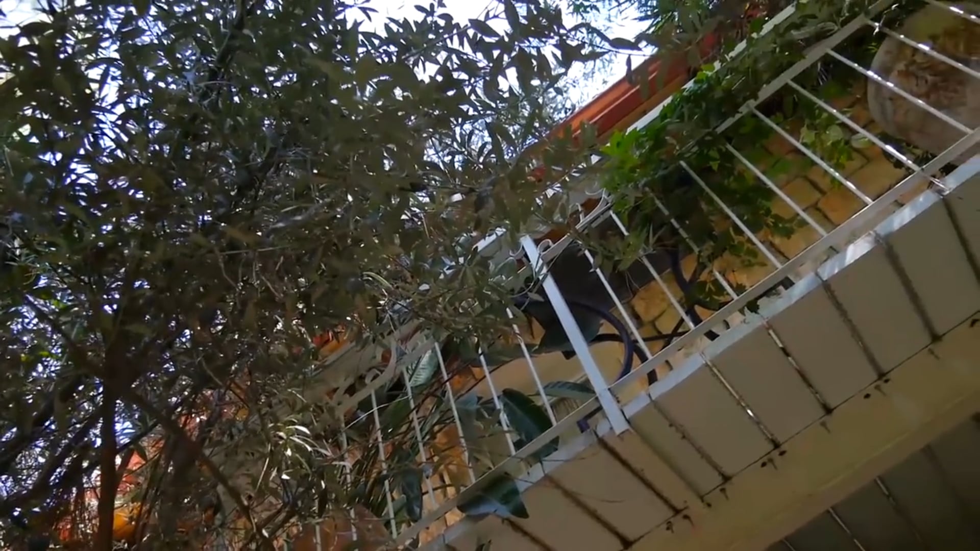 From the Syrian Border