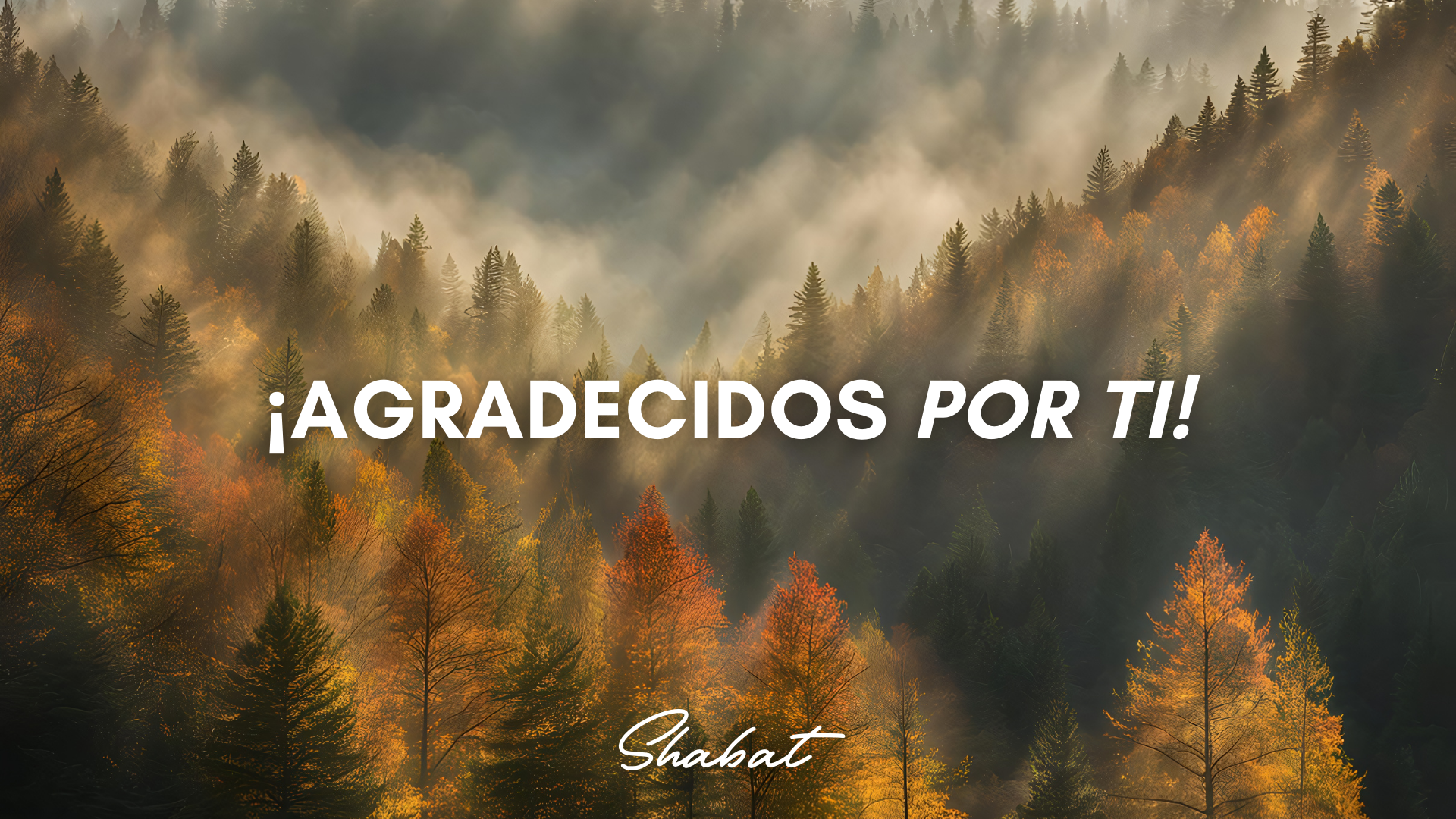 Shabbat: ¡Agradecidos Por Ti! (11/28)