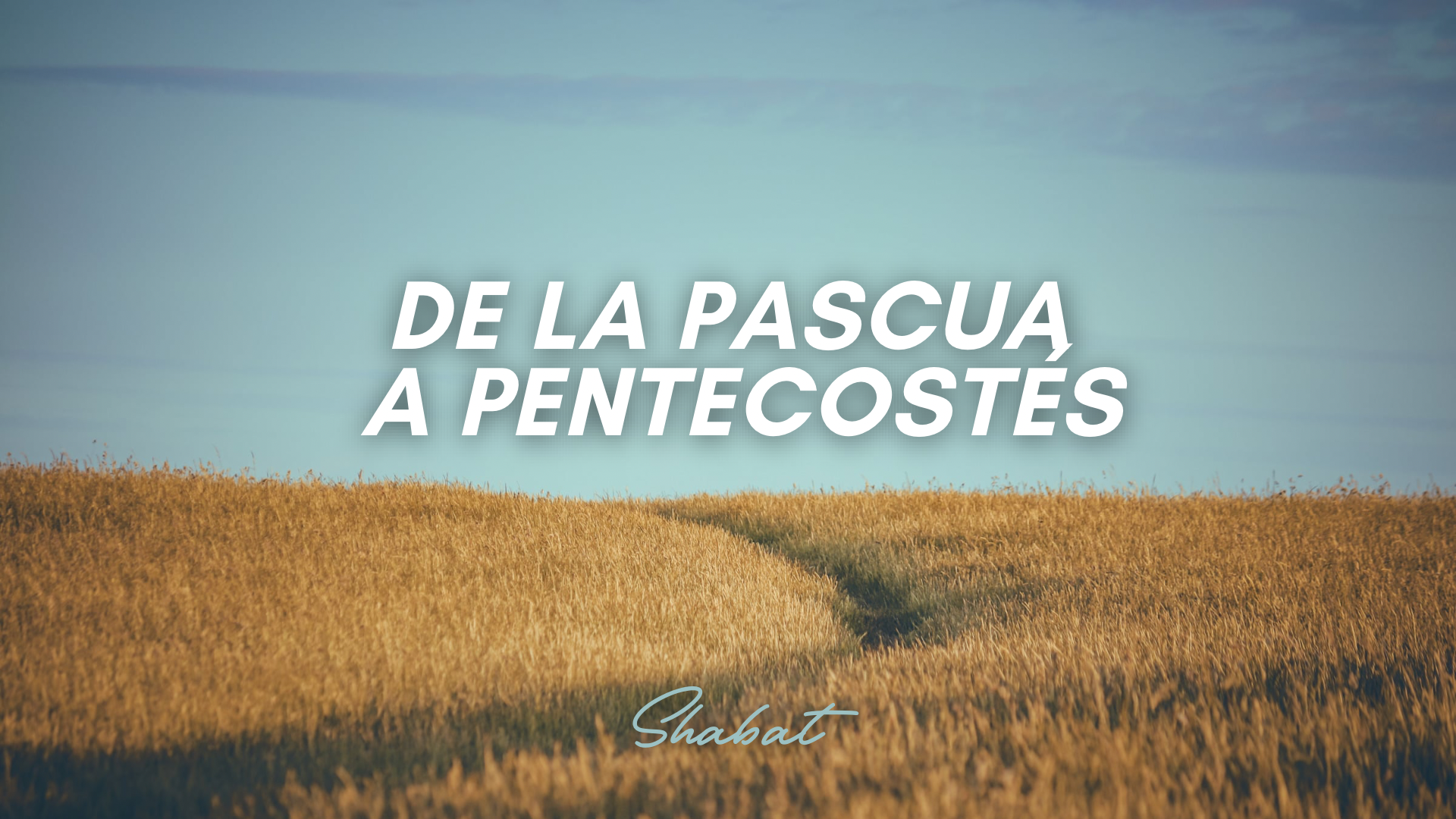 Shabbat: De la Pascua a Pentecostés (5/15/26)