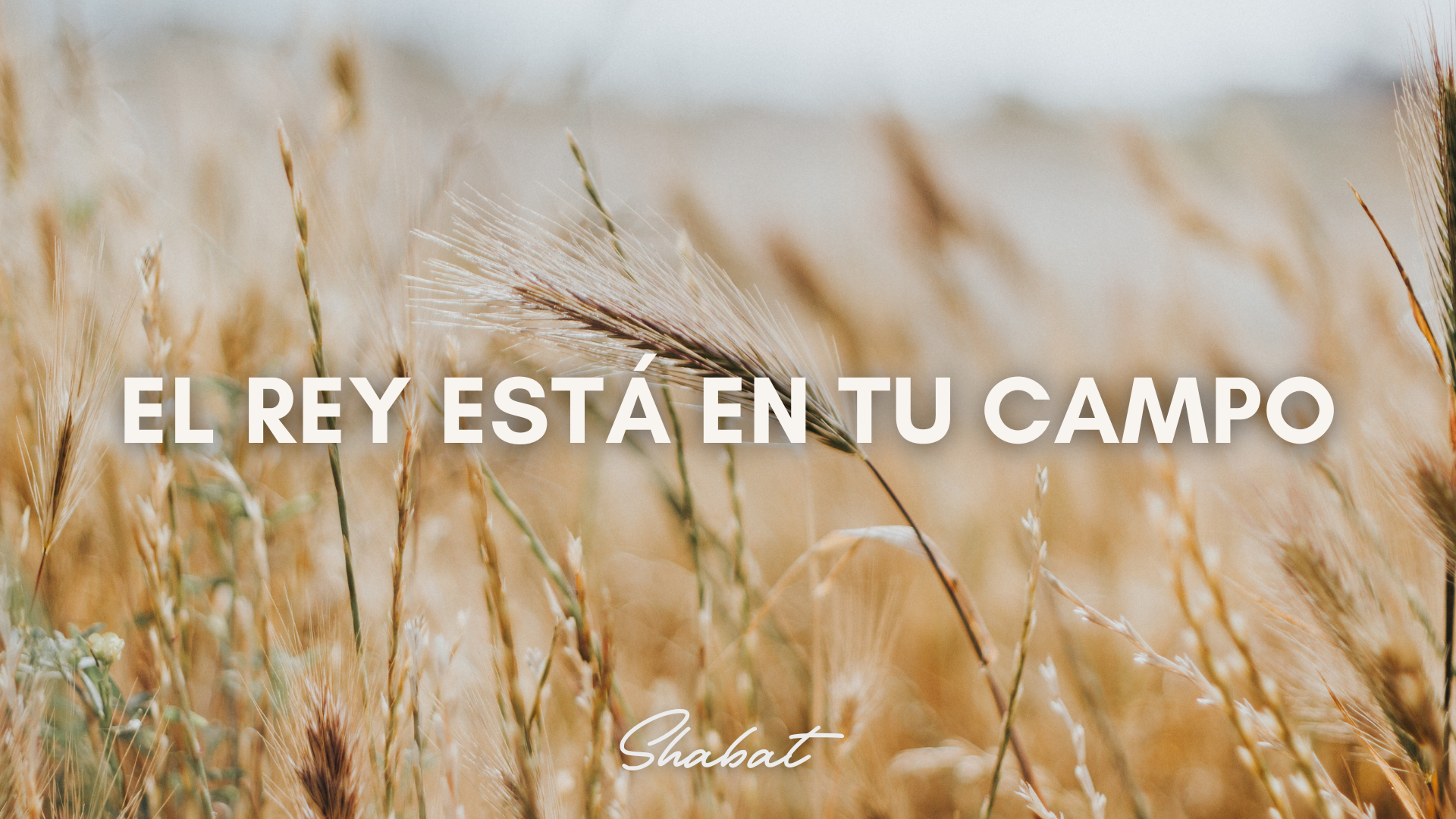 Shabbat: El Rey Está en Tu Campo (8/29) 