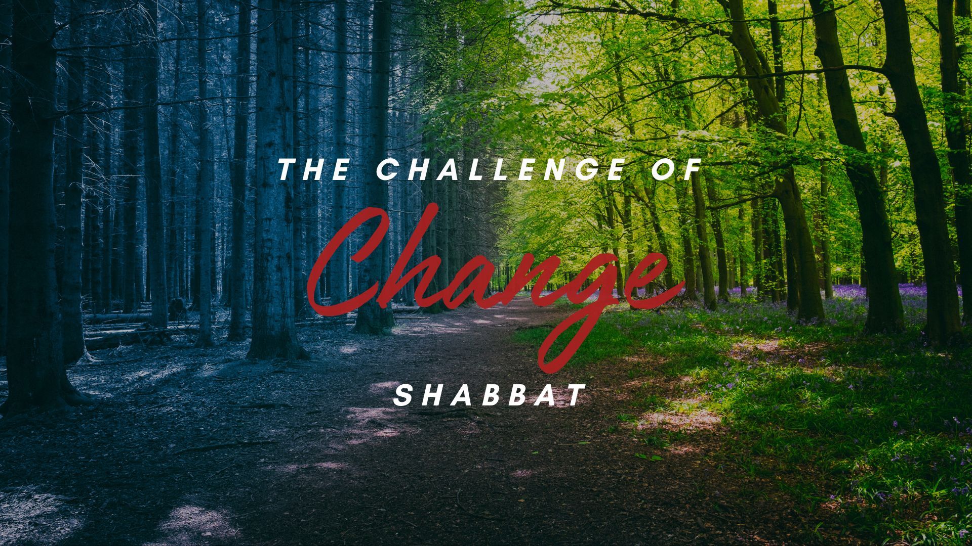 Shabbat: The Challenge of Change (06/21) 6 PM