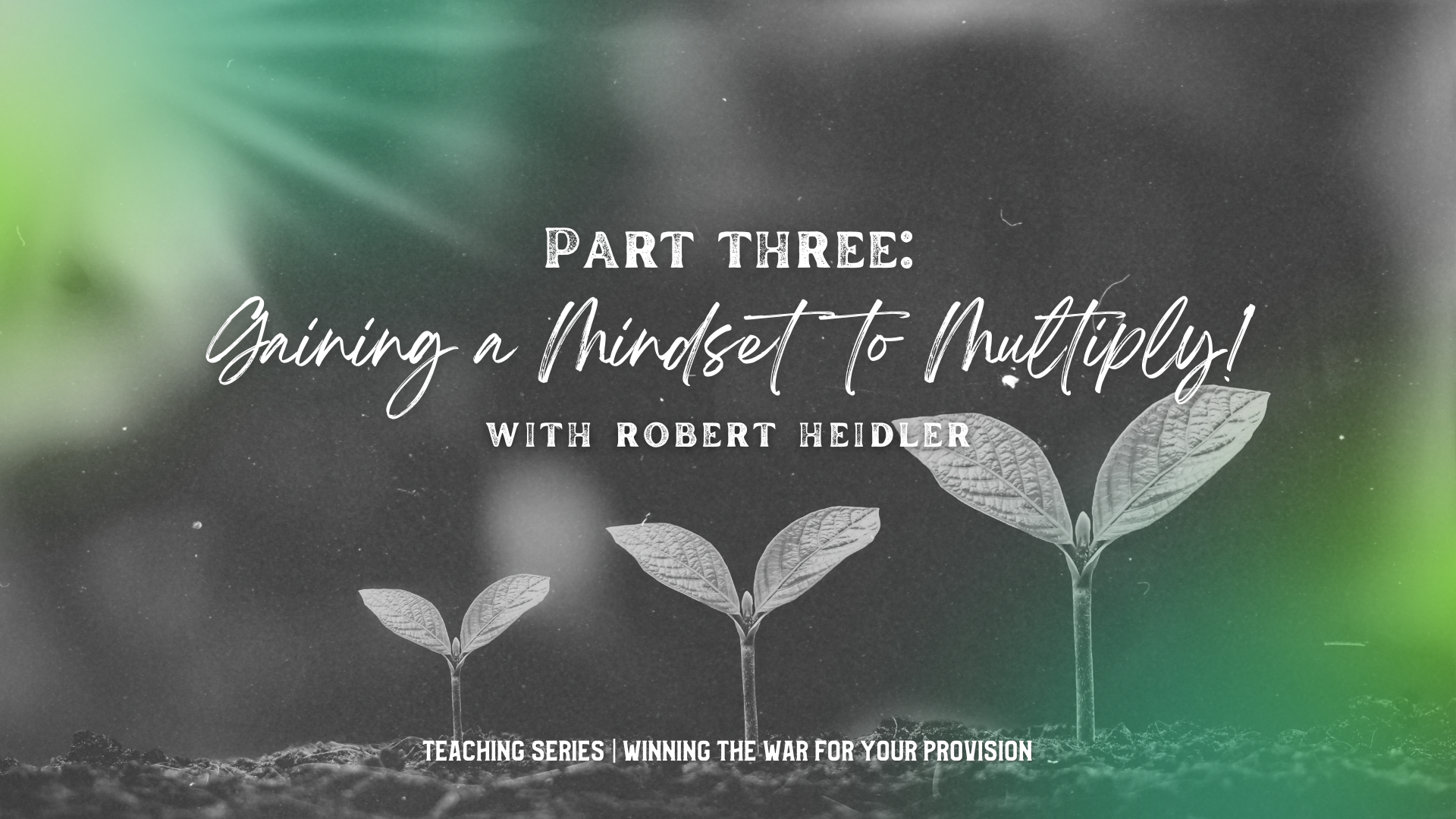 Gaining a Mindset to Multiply Part 3 with Robert Heidler (07/18)