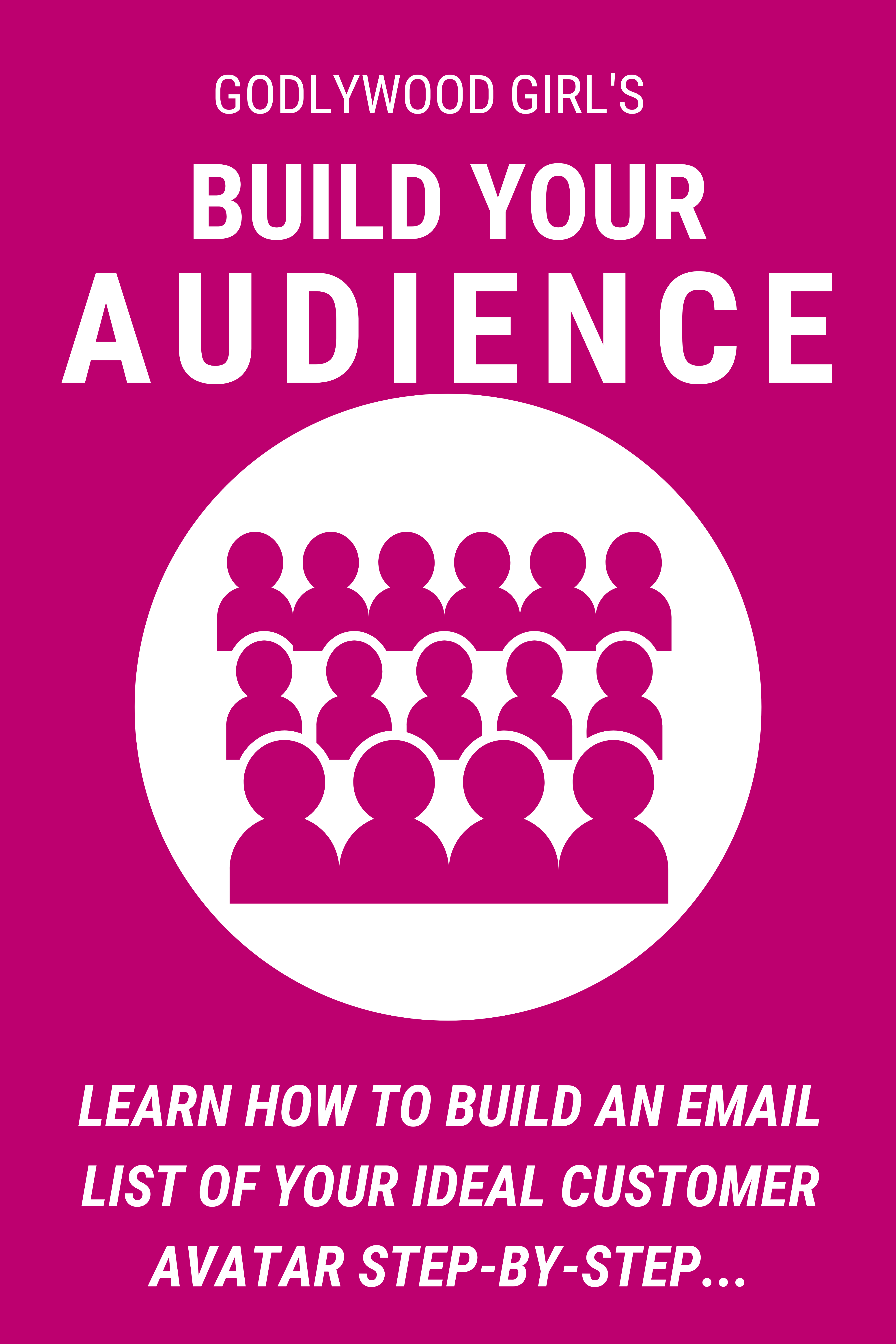 School Of Business 3 - How To Build Your Audience Step-By-Step
