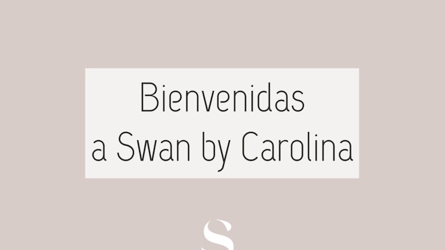 Bienvenidas a Swan by Carolina (español ) 