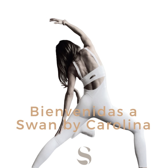 Bienvenidas a Swan by Carolina (español ) 