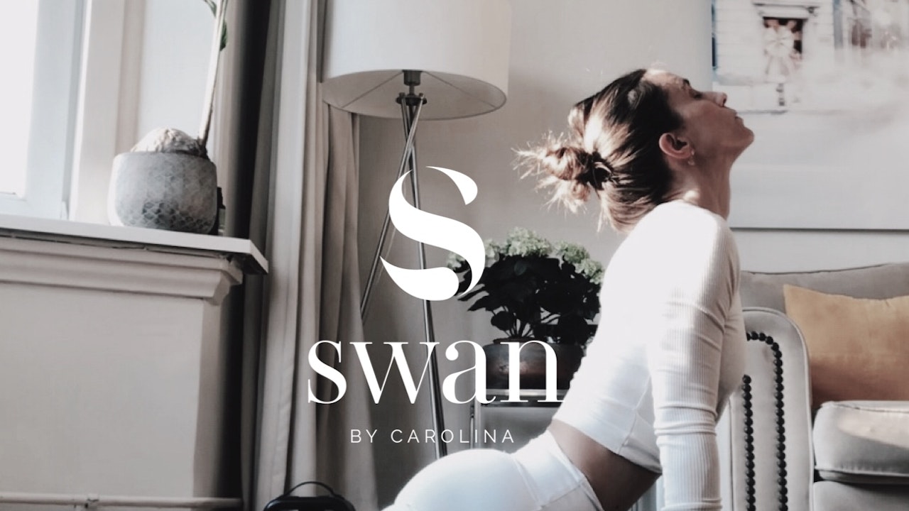 New To Swan- Start Here