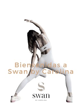 Bienvenidas a Swan by Carolina (españ...