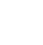 Swan by Carolina