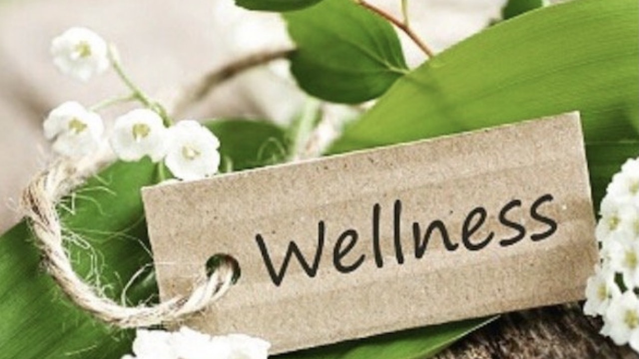 My guests: Everything Wellness Related From Other Experts
