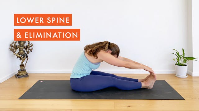 Lower Spine & Elimination