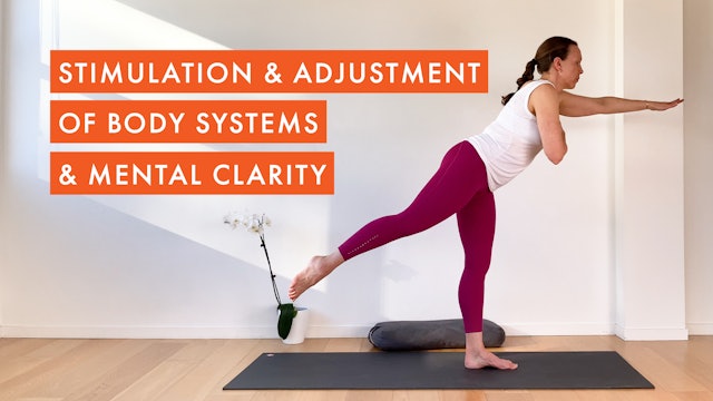 Stimulation & Adjustment of Body Systems & Mental Clarity