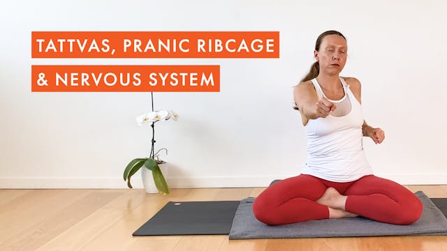 Tattvas, Pranic Ribcage & Nervous System