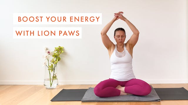  Boost your Energy with Lion Paws