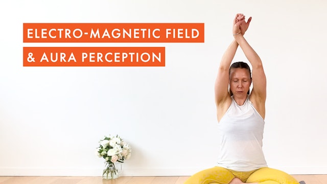 Electro-Magnetic Field and Aura Perception