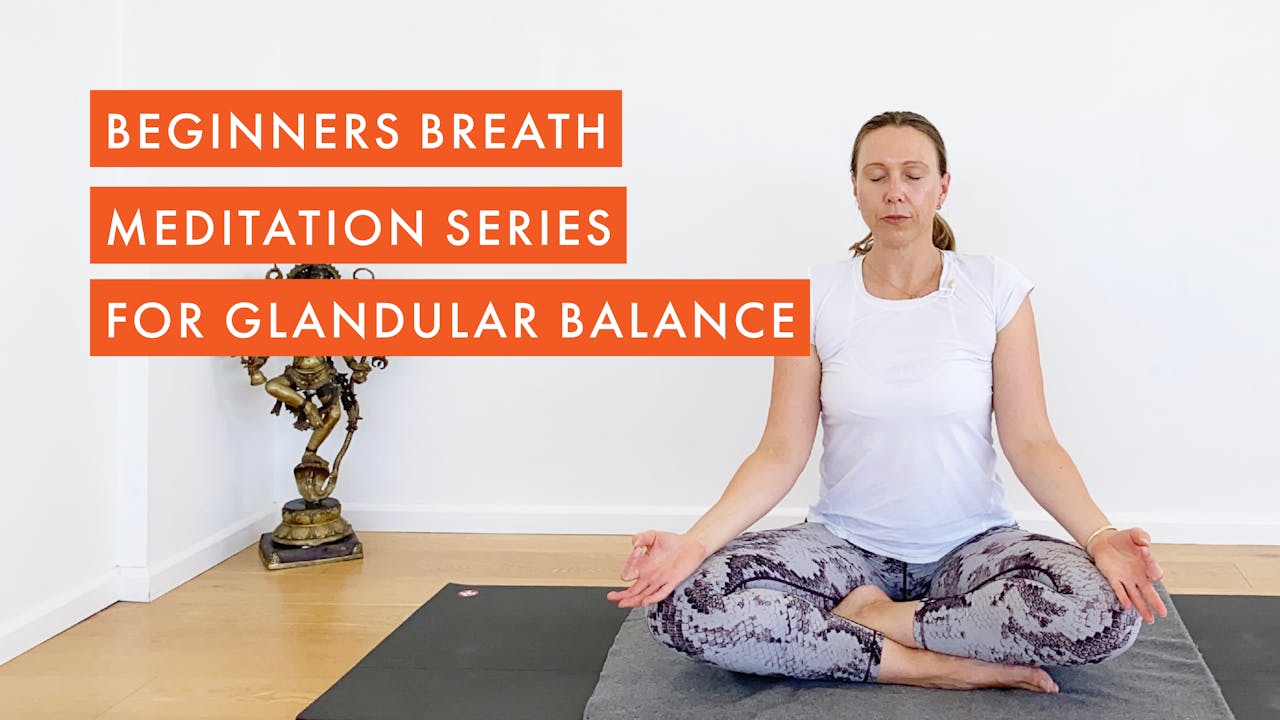 Beginners Breath Meditation Series for Glandular Balance 10 20min