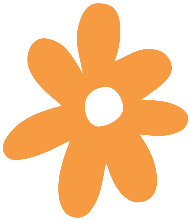 Beginner Class Bundle