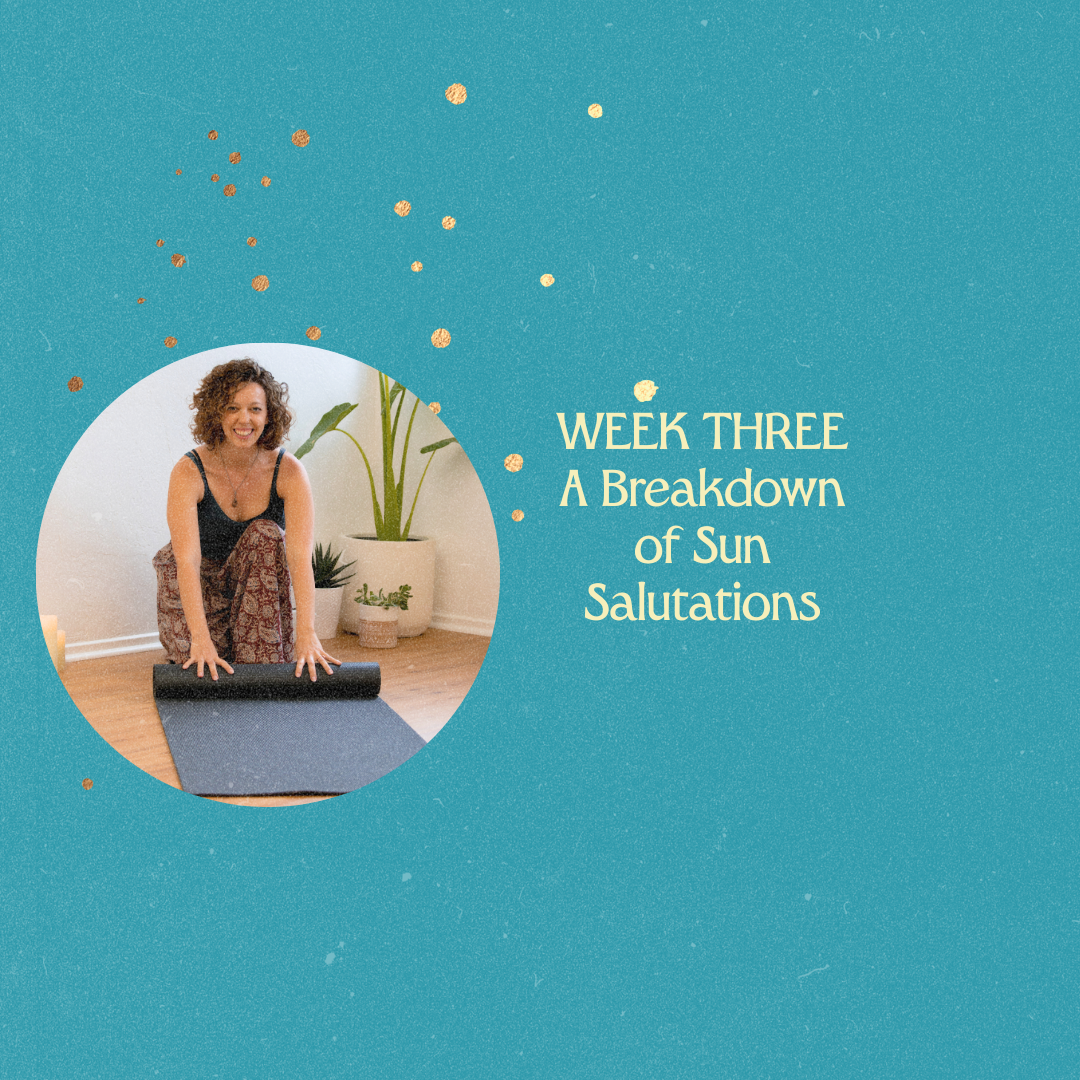 Intro to Yoga  {Week 3 of 7}