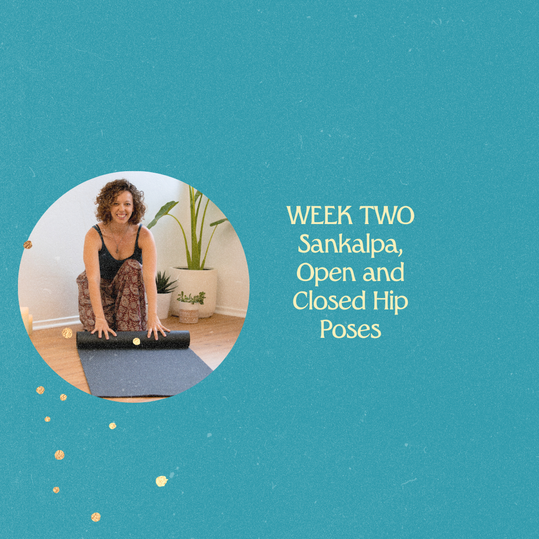 Intro to Yoga {Week 2 of 7}