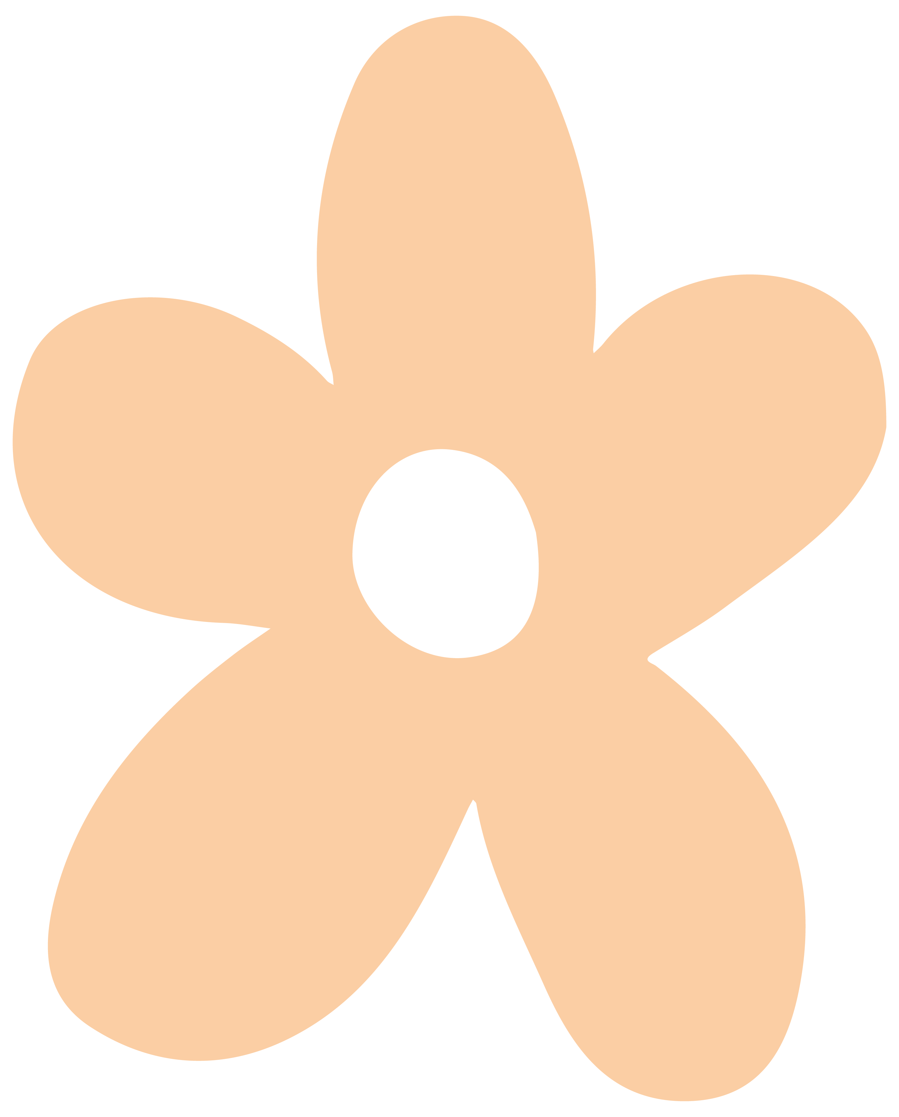 Dynamic Full Body Practice