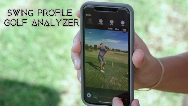 Swing Profile Review