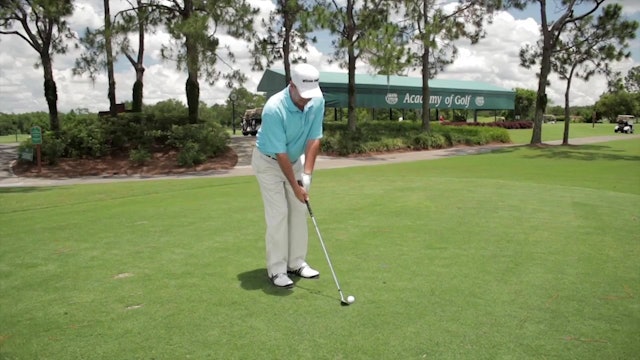 Fred Griffin: Wedge Distance