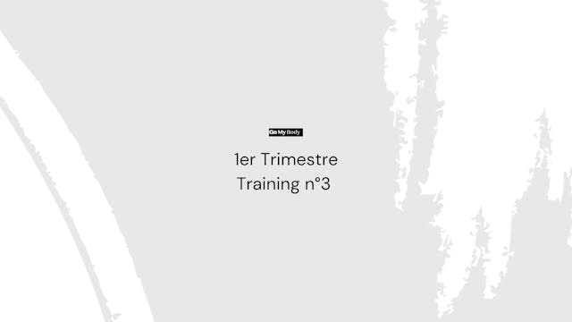 Trimestre 1 : Training n° 3