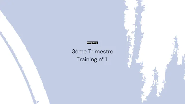 Trimestre 3 : Training n° 1