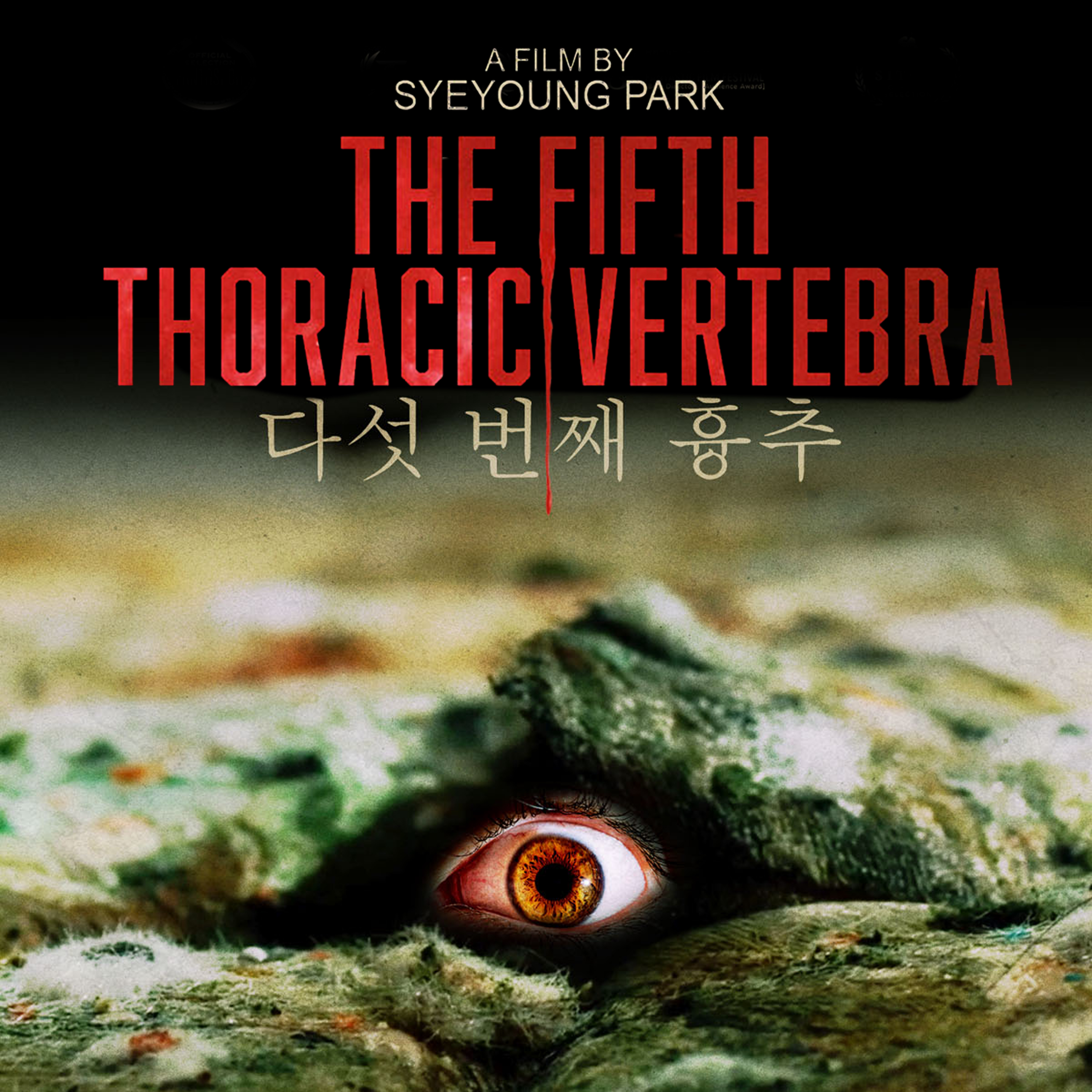 The Fifth Thoracic Vertebra