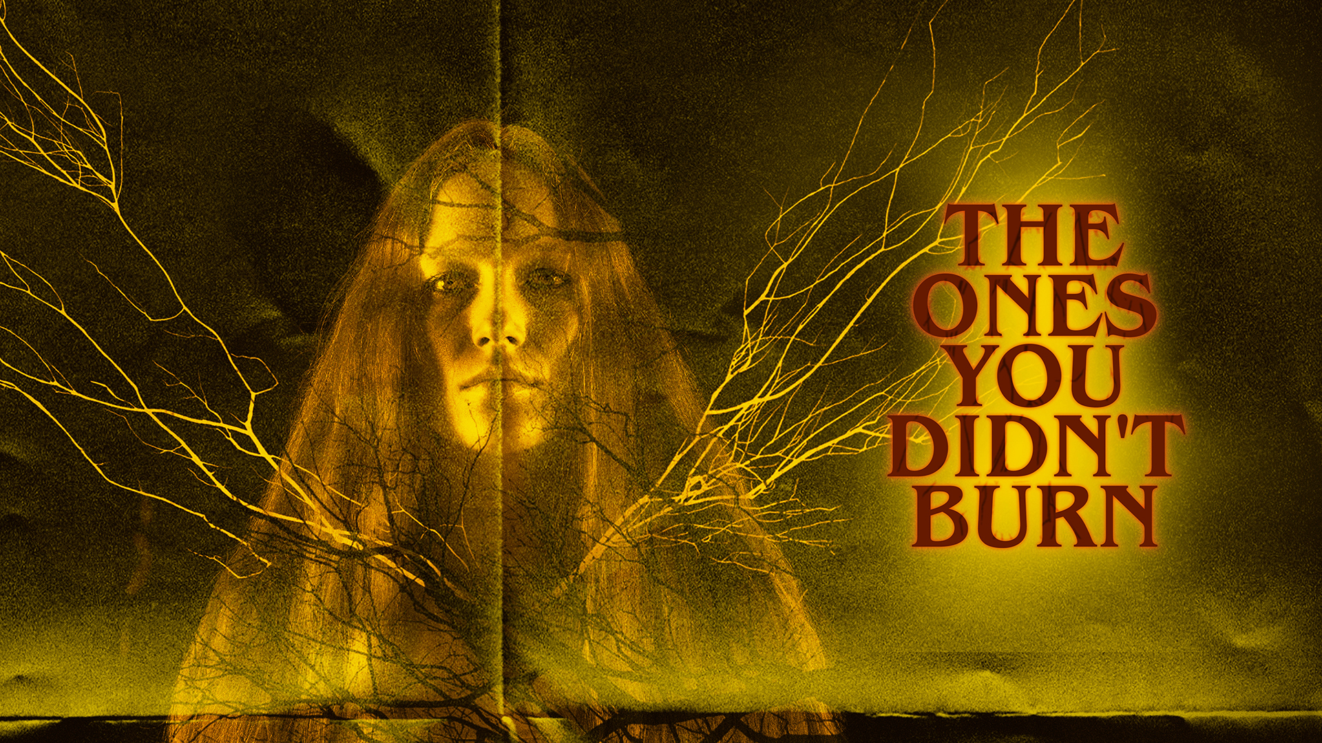 The Ones You Didn't Burn