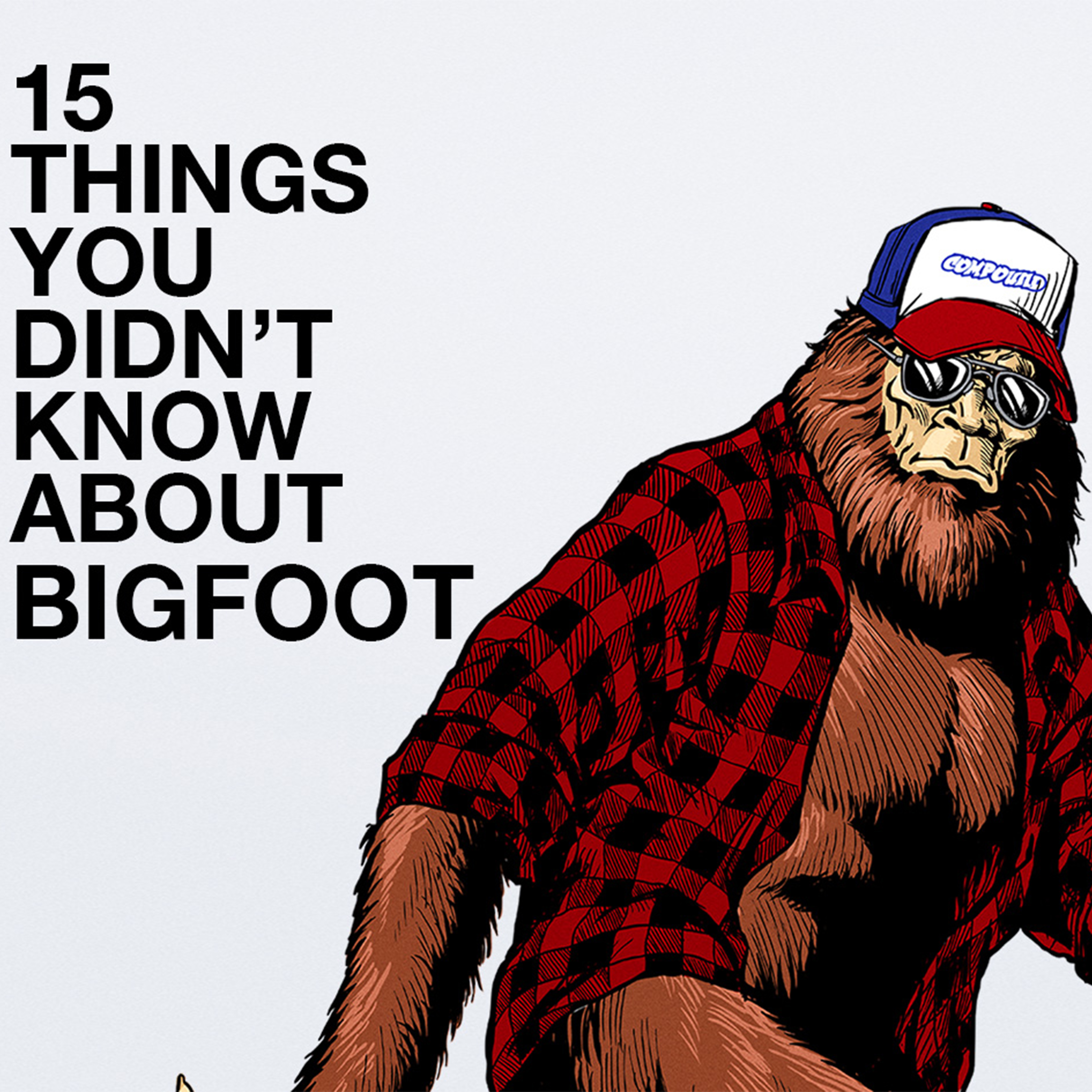 15 Things You Didn't Know About Bigfoot