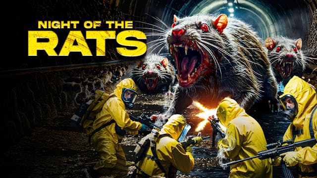 Night of the Rats